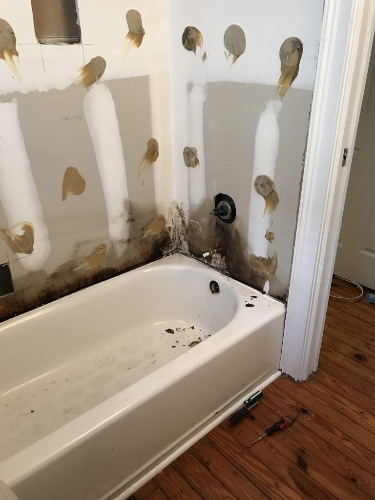 Guest Bath Process Clawfoot Tub Historic Downtown Home renovation bathroom hardwood white mid century Charleston Fashion Blogger Dannon K. Collard Like The Yogurt